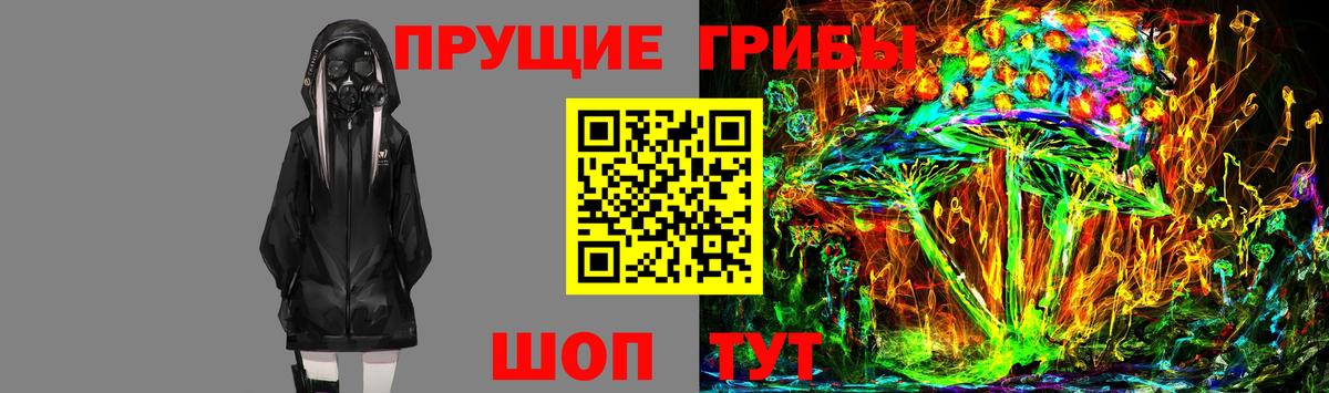 Псилоцибиновые грибы Psilocybine cubensis Сокол