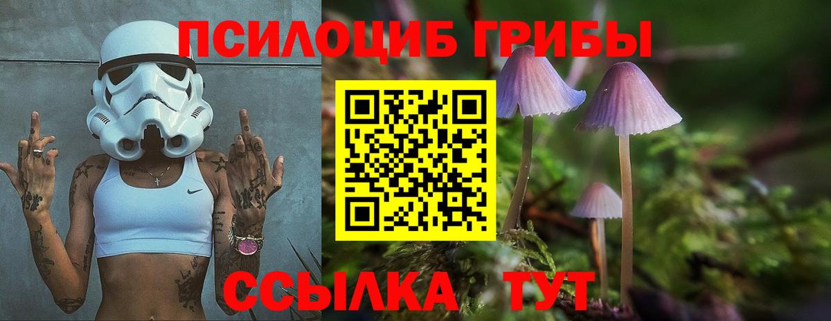 Псилоцибиновые грибы ЛСД  Вход с VPN  Галлюциногенные грибы Magic Shrooms  как найти закладки  Сокол 