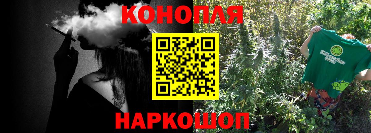 Марихуана Amnesia Сокол