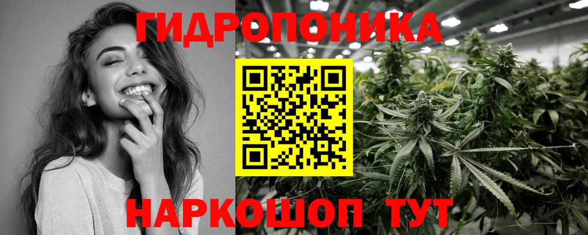 Марихуана VHQ  Канабис семена  Сокол  Марихуана SATIVA & INDICA  Вход с VPN 